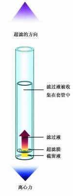 sartorius CentrisartⅠ超滤浓缩离心管