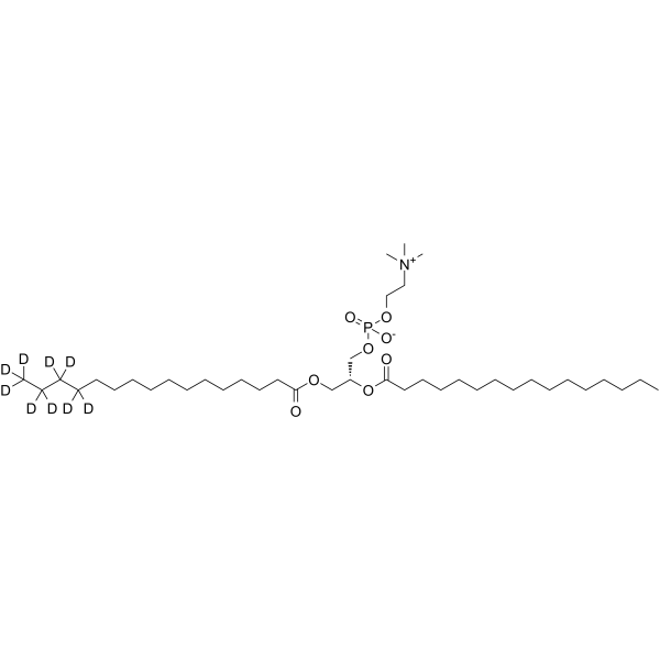 DPPC-d9(Synonyms: 129Y83-d9)