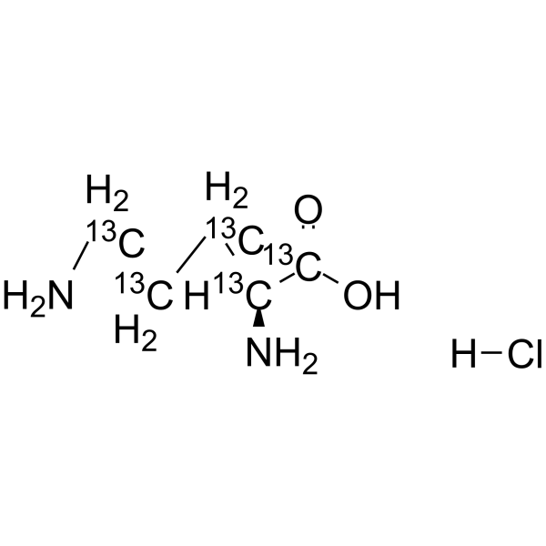 L-Ornithine-1,2,3,4,5-13C5 hydrochloride