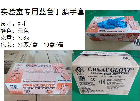 GREAT GLOVE 9寸一次性蓝色丁jīng手套