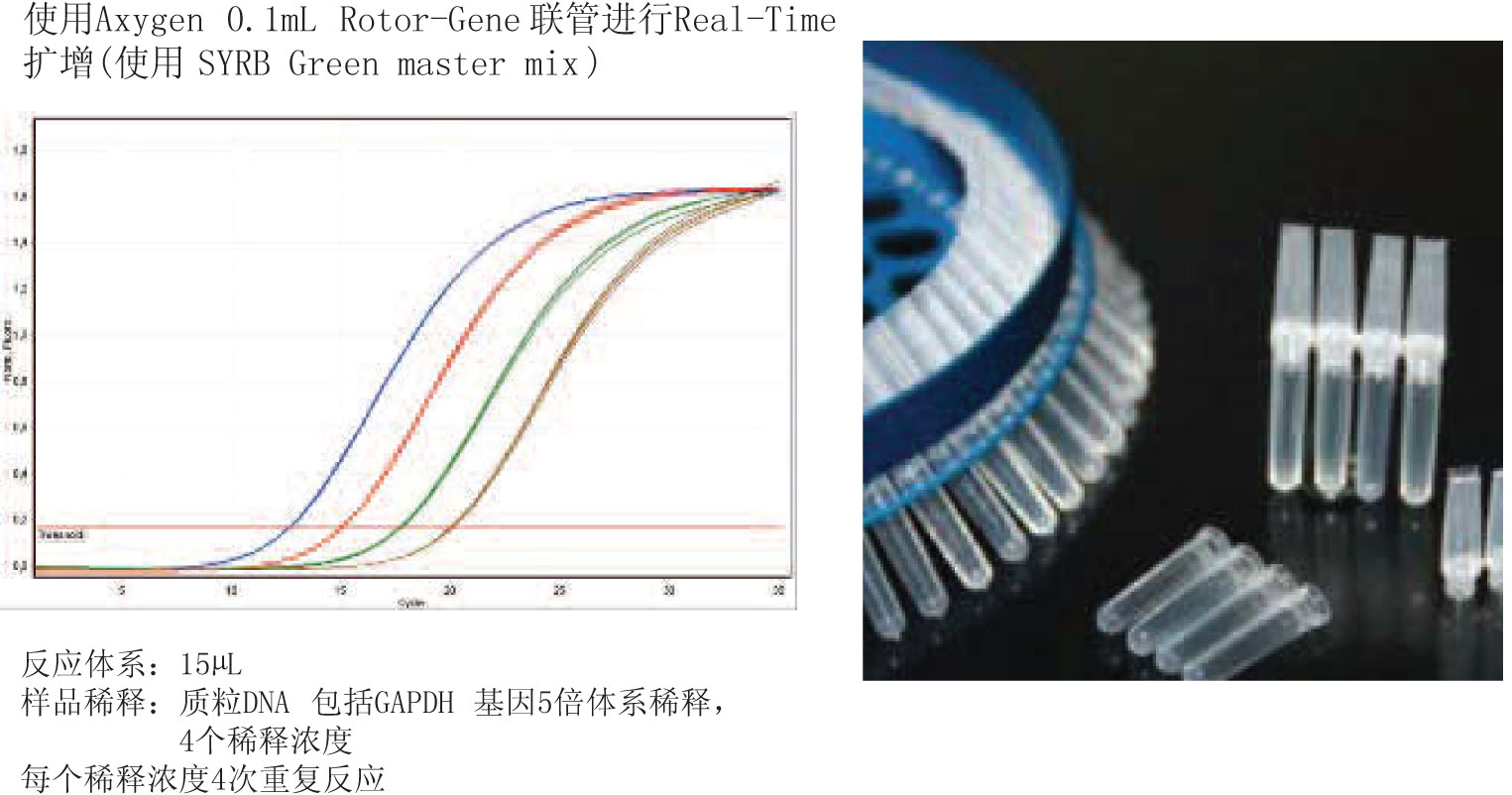 AXYGEN 配Rotor–Gene的荧光定量PCR联管