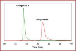 TDzyme(重组胶原酶)组织解离酶试剂盒-胶原酶TDzyme® TL Pack TDzyme Tissue Dissociation Kits-TDzyme® TL Pack 货号：TDL0010 品牌：Equl