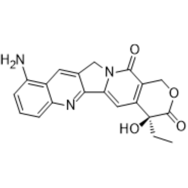 9-Aminocamptothecin                                          (Synonyms: 9-氨基喜树碱; 9-Amino-20(S)-camptothecin;  9-Amino-CPT)