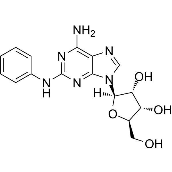 CV1808                                          (Synonyms: 2-Phenylaminoadenosine)
