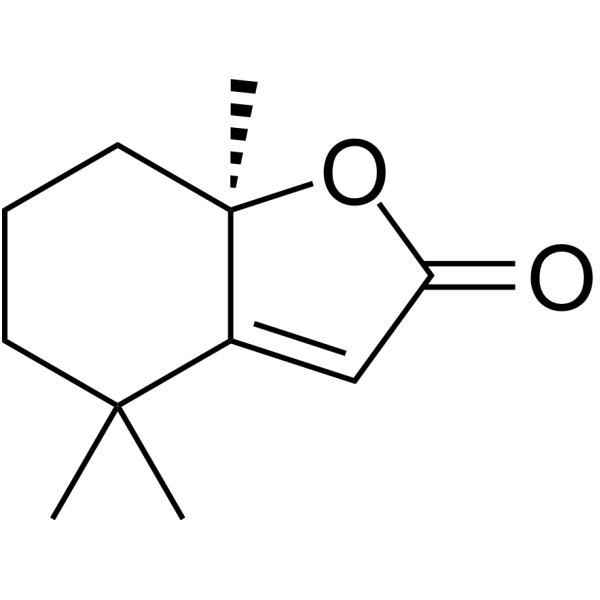 Dihydroactinidiolide                                          (Synonyms: 二氢猕猴桃内酯)