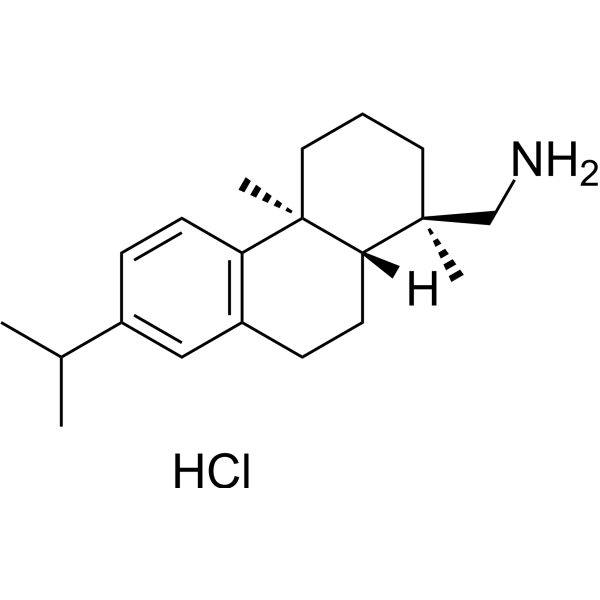 Leelamine hydrochloride                                          (Synonyms: 脱氢松香胺盐酸盐)