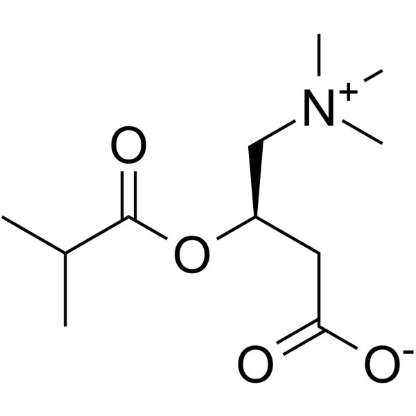 Isobutyryl-L-carnitine