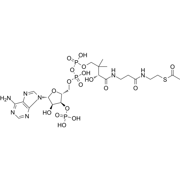 Acetyl coenzyme A                                          (Synonyms: Acetyl-CoA)