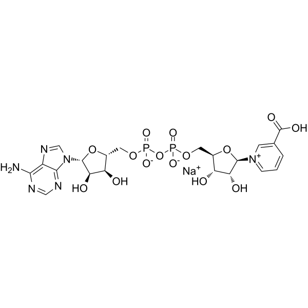 NAAD sodium                                          (Synonyms: 烟酸腺嘌呤二核苷酸钠盐; Deamido nad sodium)