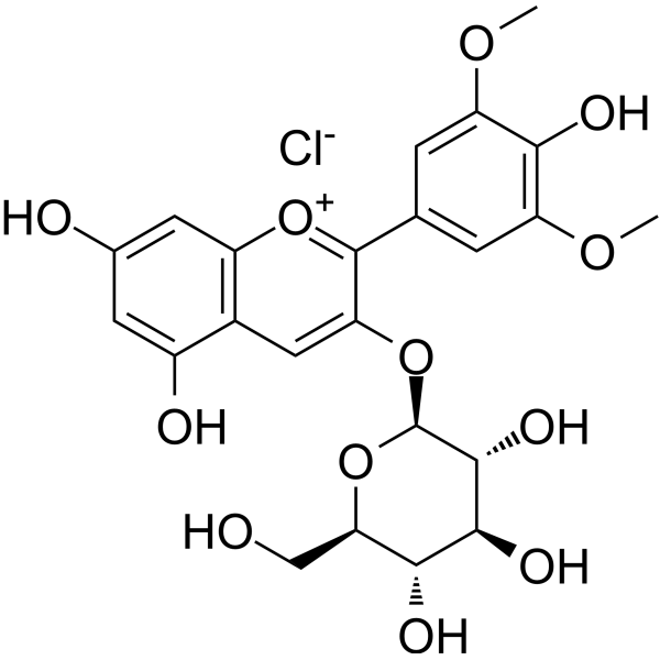 Malvidin-3-glucoside chloride                                          (Synonyms: Malvidin-3-O-glucoside chloride; Oenin chloride)