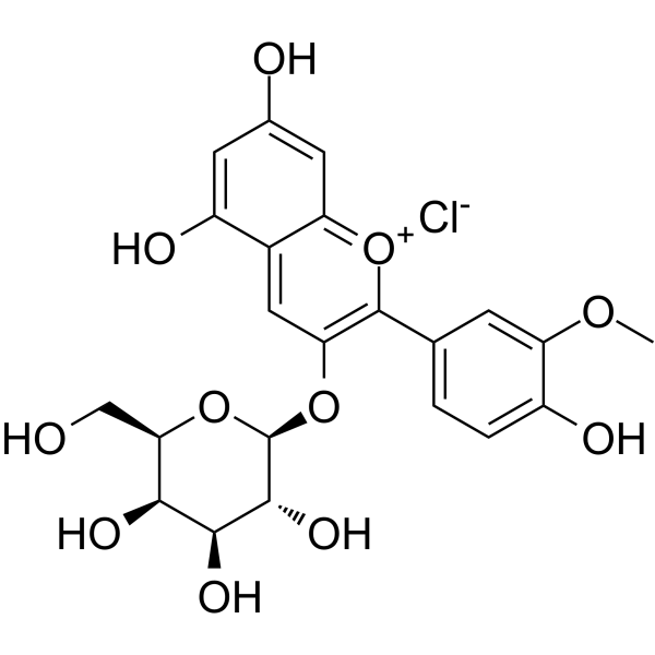 Peonidin-3-O-galactoside chloride                                          (Synonyms: 氯化芍药素-3-O-半乳糖苷；氯化芍药色素半乳糖苷)