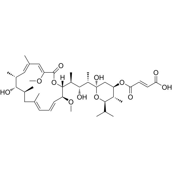 Bafilomycin C1                                          (Synonyms: 巴菲霉素C1)