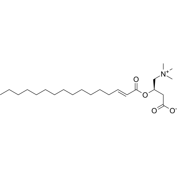 trans-2-Hexadecenoyl-L-carnitine                                          (Synonyms: 反-2-十六碳烯酰肉碱)