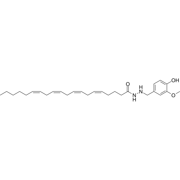 OMDM-6