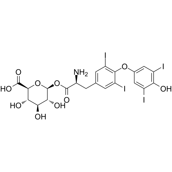 Levothyroxine acyl glucuronide                                          (Synonyms: Thyroxine acyl-β-D-glucuronide)