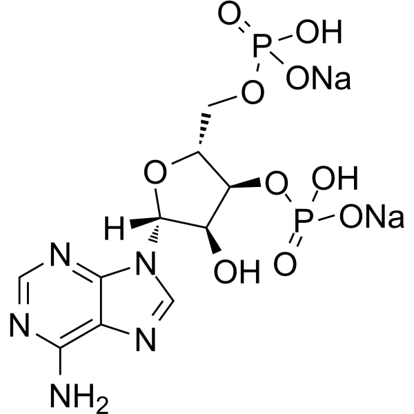 Adenosine 3