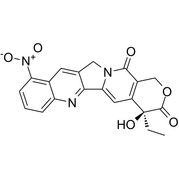 Rubitecan                                          (Synonyms: RFS 2000;  9-Nitrocamptothecin)