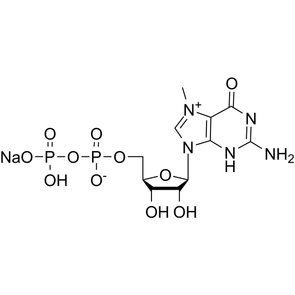 7-Methylguanosine 5