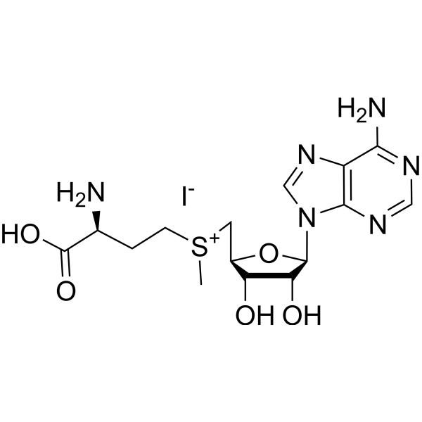 S-Adenosyl-L-methionine iodide                                          (Synonyms: S-Adenosyl methionine iodide; Ademetionine iodide; AdoMet iodide)