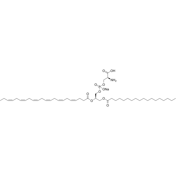 18:0,22:6 PS sodium