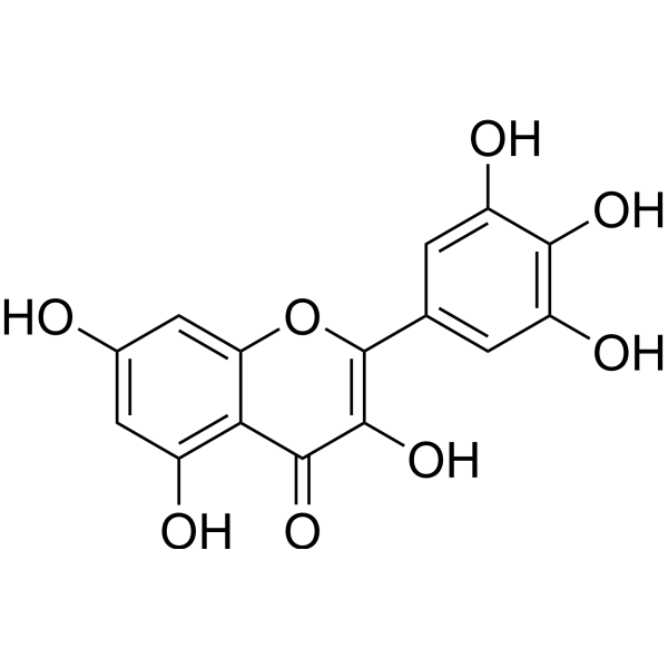 Myricetin (Standard)                                          (Synonyms: Cannabiscetin (Standard))