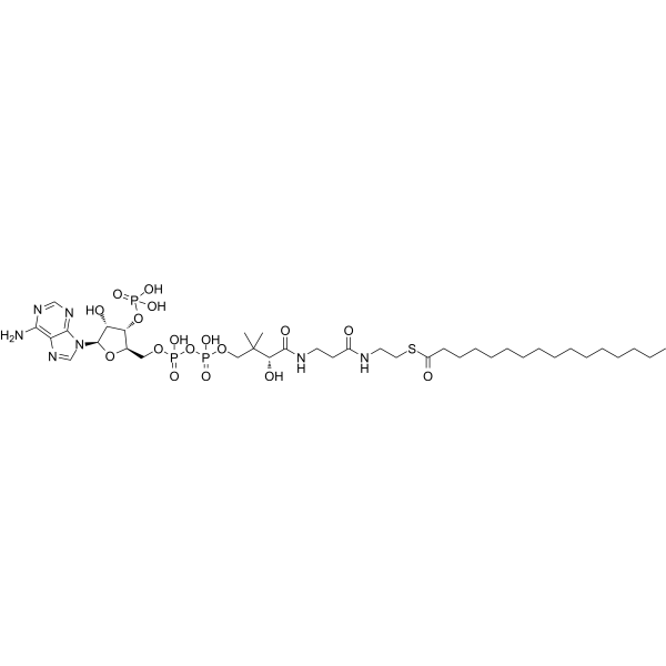 Palmitoyl coenzyme A                                          (Synonyms: Palmitoyl CoA)