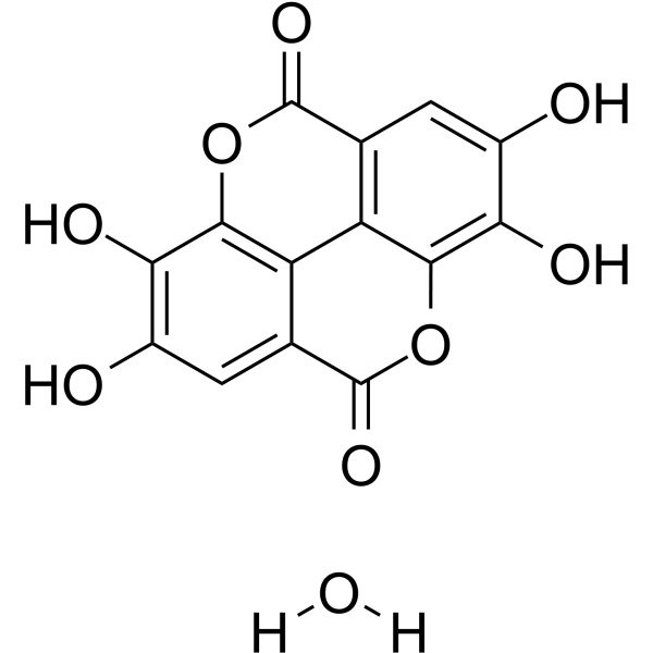 Ellagic acid (hydrate)                                          (Synonyms: 鞣花酸水合物)