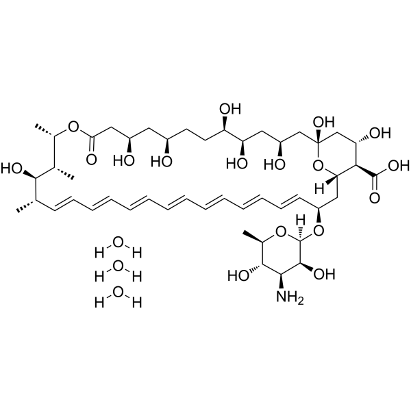 Amphotericin B trihydrate                                          (Synonyms: 两性霉素B三水合物)