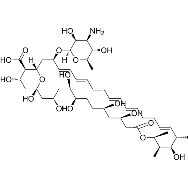 Amphotericin B (Standard)                                          (Synonyms: 两性霉素B（标准品）)