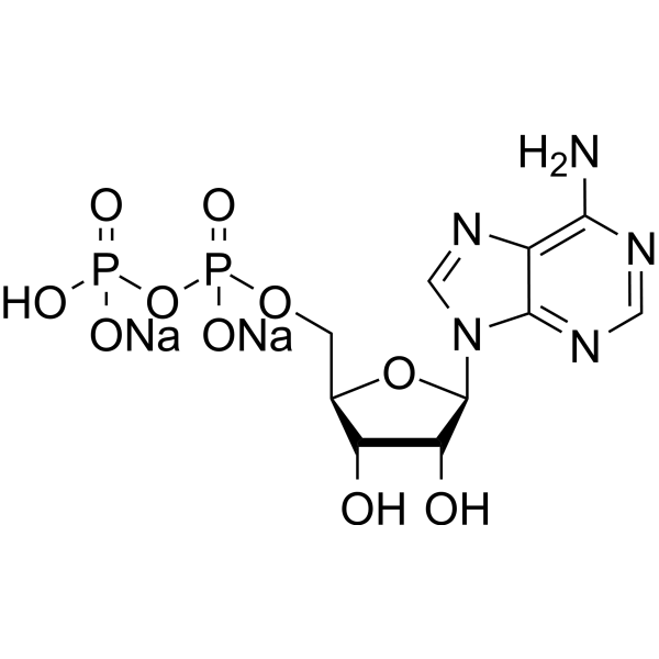 Adenosine 5