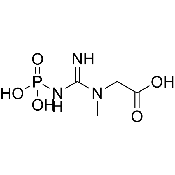 Phosphocreatine                                          (Synonyms: 磷酸胍酸; Creatine phosphate;  Creatinephosphoric acid)