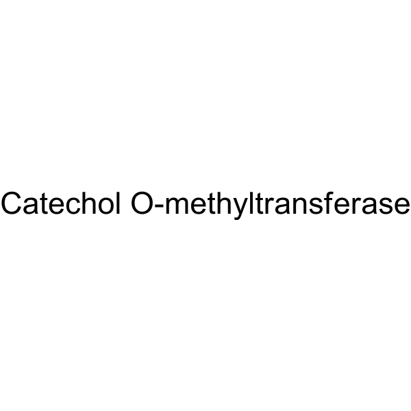 Catechol O-methyltransferase, porcine liver                                          (Synonyms: COMT)