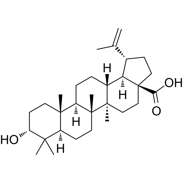 Epibetulinic acid                                          (Synonyms: 表白桦脂酸)