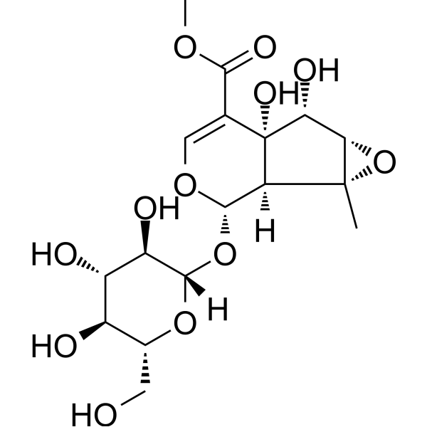 Sesamoside                                          (Synonyms: 胡麻属苷)