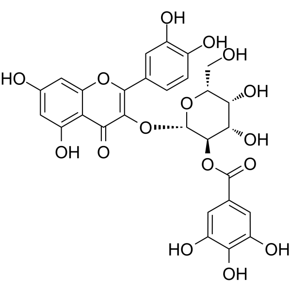 2"-O-Galloylhyperin                                          (Synonyms: 2”-O-没食子酰基金丝桃苷)