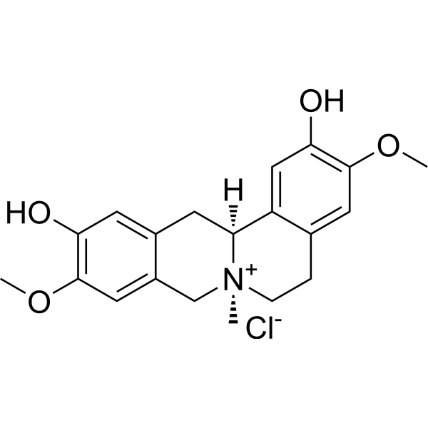 Phellodendrine chloride                                          (Synonyms: 盐酸黄柏碱)