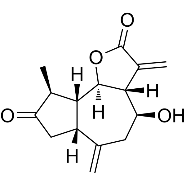 Grosshemin                                          (Synonyms: Grosshemine)