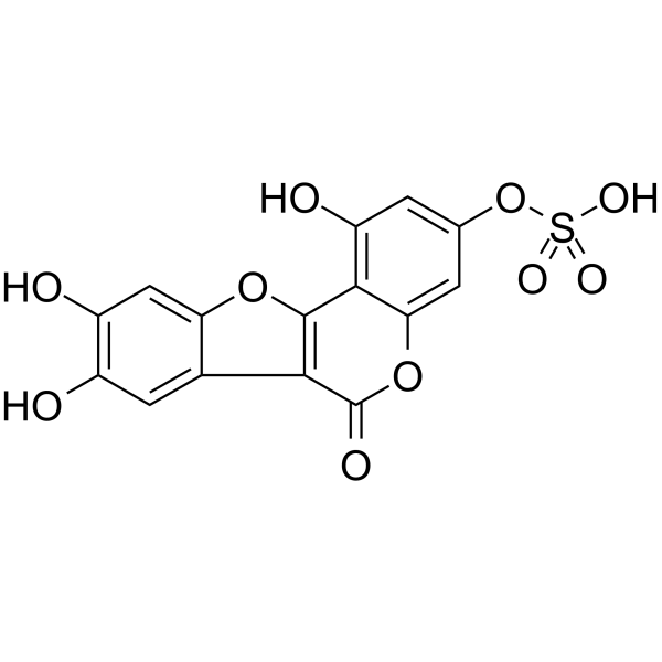 Demethylwedelolactone Sulfate                                          (Synonyms: Demethylwedelolactone 3-sulfate)