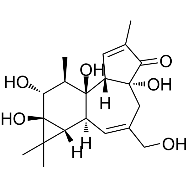 Phorbol                                          (Synonyms: 4β-Phorbol)