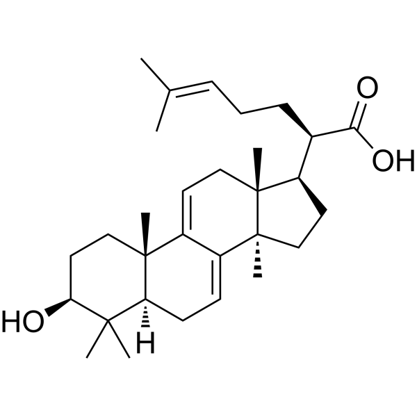 3-Dehydrotrametenolic acid                                          (Synonyms: 3-氢化去氢松苓酸)