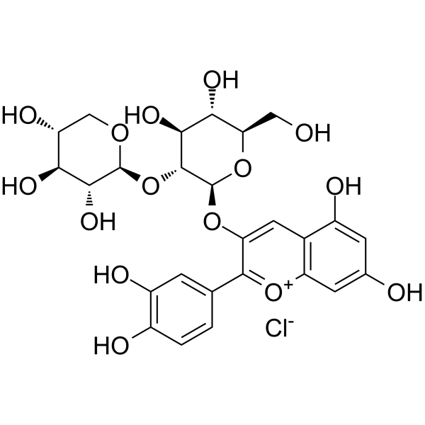 Cyanidin 3-sambubioside chloride                                          (Synonyms: Cyanidin-3-O-sambubioside chloride)