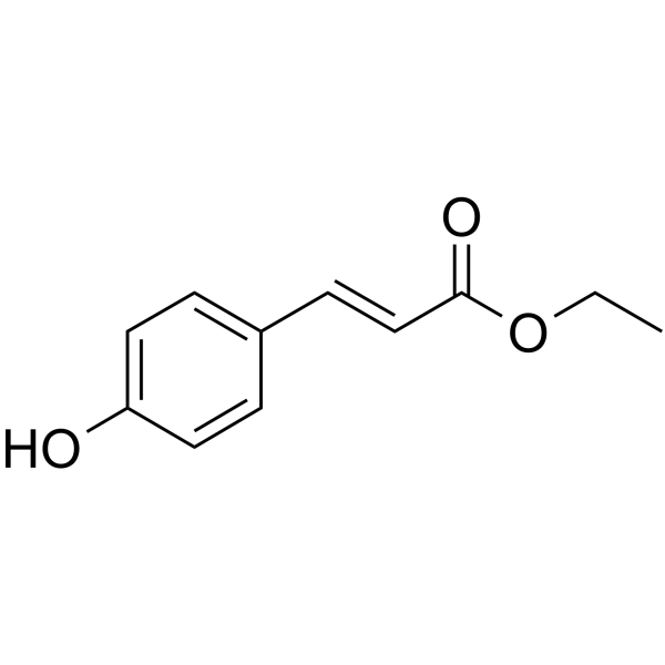 p-Coumaric Acid Ethyl Ester                                          (Synonyms: 对香豆酸乙酯; Ethyl (E)-p-hydroxycinnamate;  Ethyl trans-4-hydroxycinnamate)