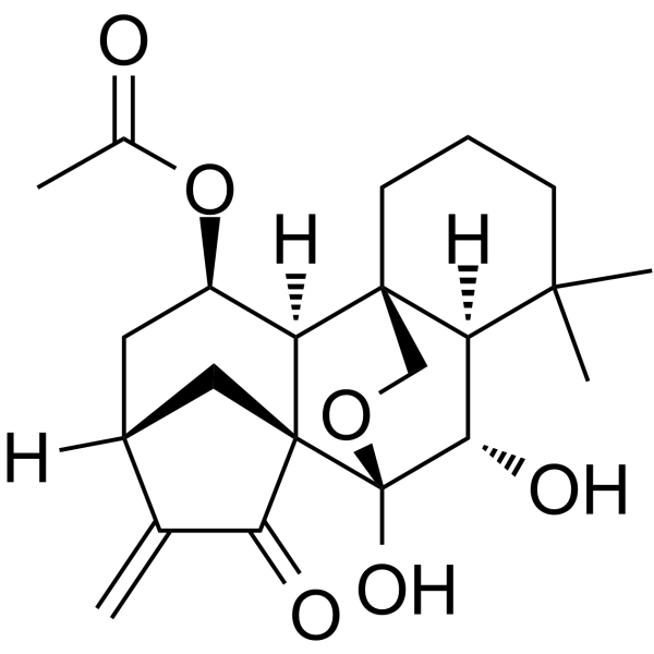 Longikaurin E                                          (Synonyms: (-)-Longikaurin E)