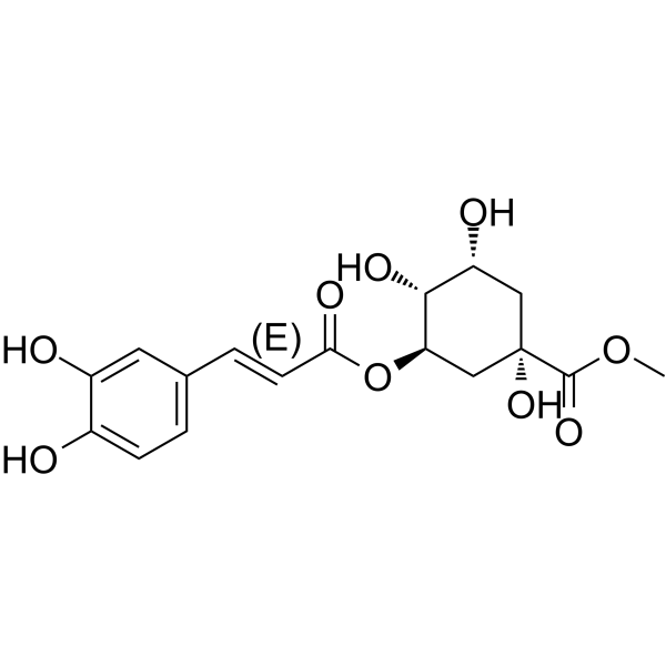 3-O-Caffeoylquinic acid methyl ester