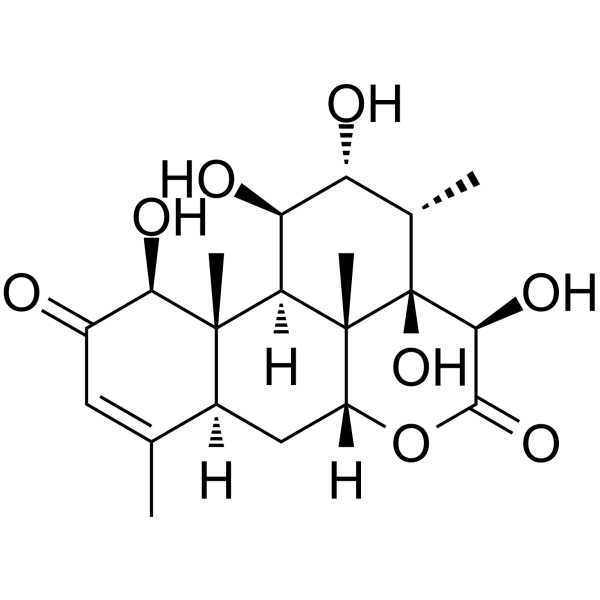 14,15 β-Dihydroxyklaineanone