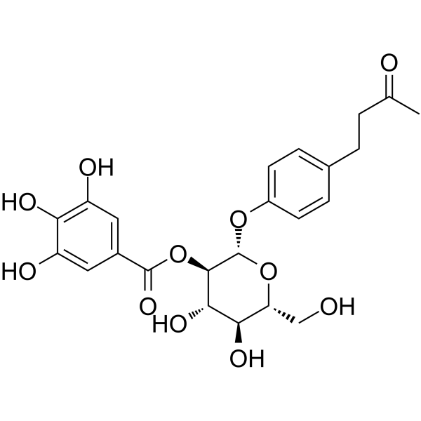 Isolindleyin