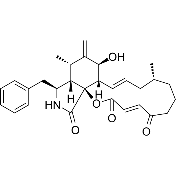 Cytochalasin A                                          (Synonyms: 细胞松弛素A)