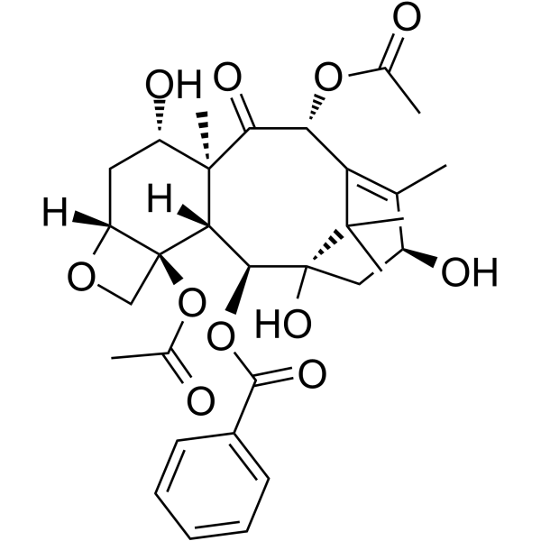 Baccatin III                                          (Synonyms: 巴卡亭 Ⅲ)