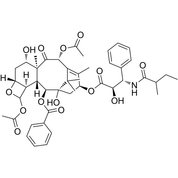 Dihydrocephalomannine                                          (Synonyms: 紫杉醇EP杂质R)