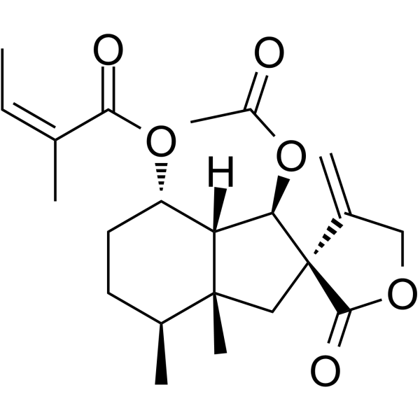 Bakkenolide B